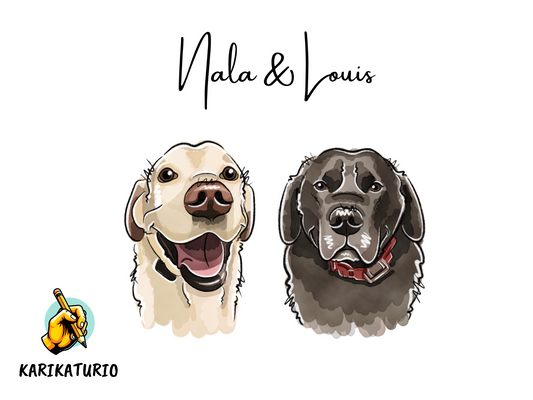 Obraz mazlíčka podle fotky